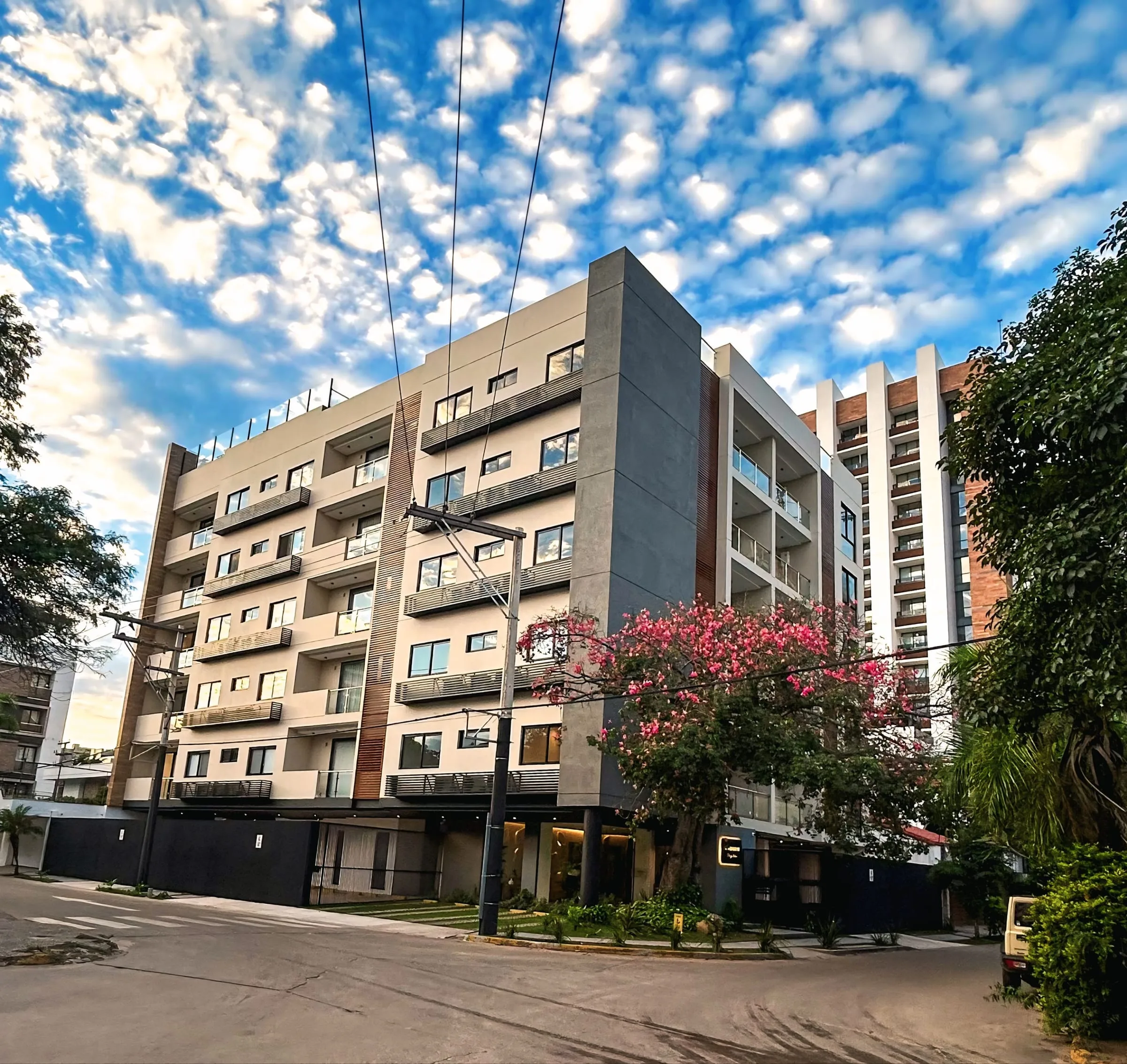 Fachada con árbol florido